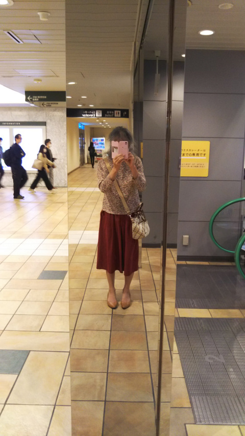 �Ԃ̃X�J�[�g�ƃp���v�X