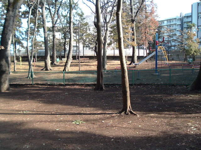 公園（緑地）の木々と遊具1