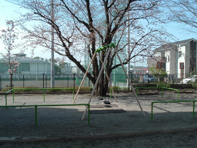 ブランコと桜の木1