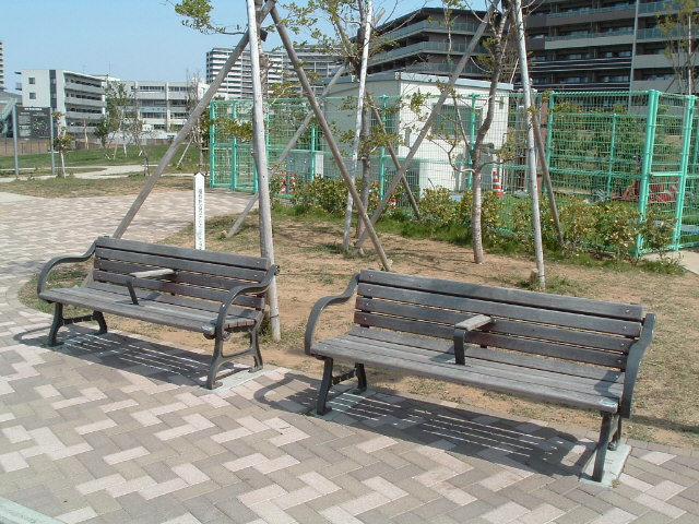 記念樹の前のベンチ